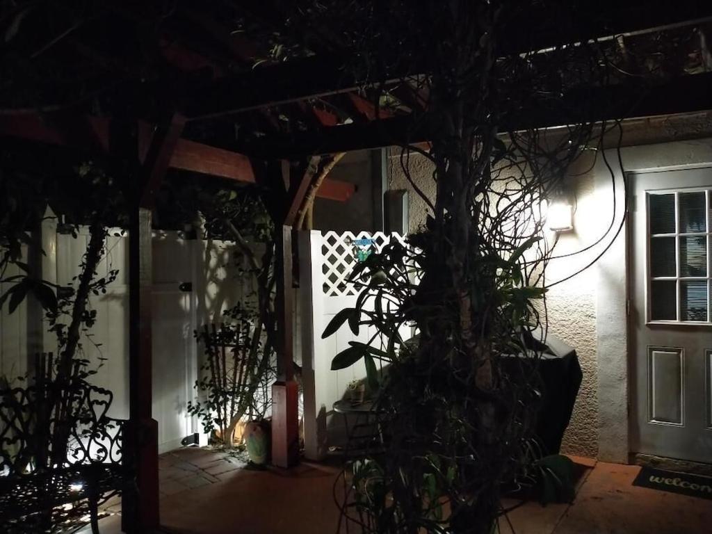 Tampa Bay Beautiful Apartment And Private Jacuzzi Екстер'єр фото