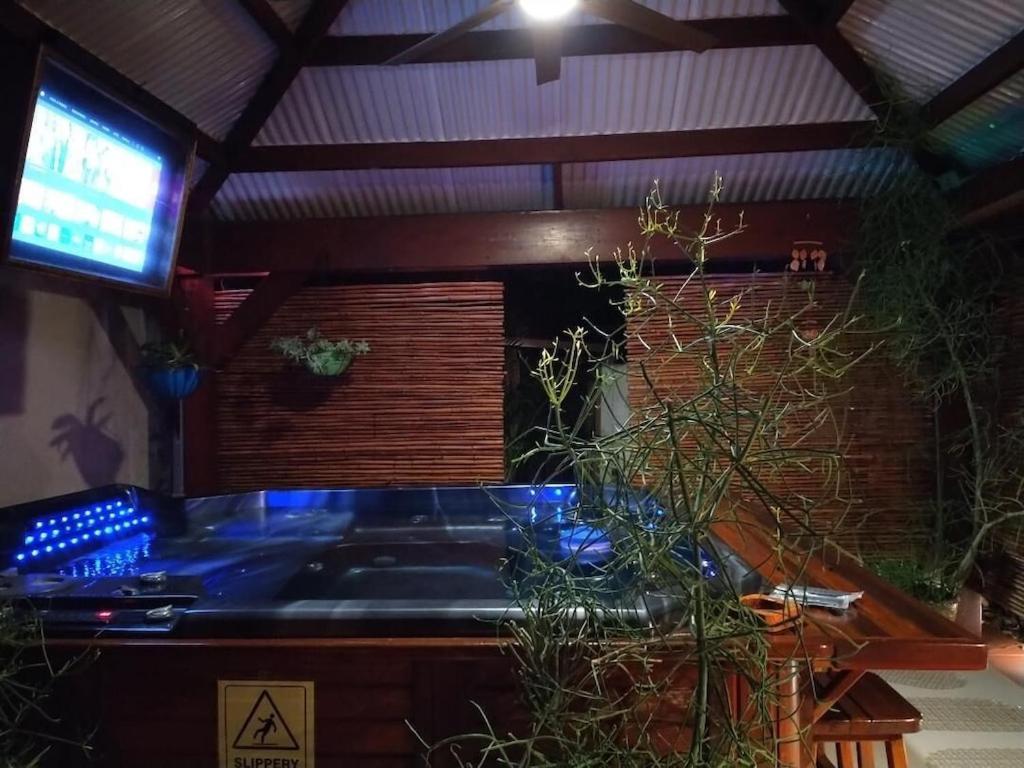 Tampa Bay Beautiful Apartment And Private Jacuzzi Екстер'єр фото