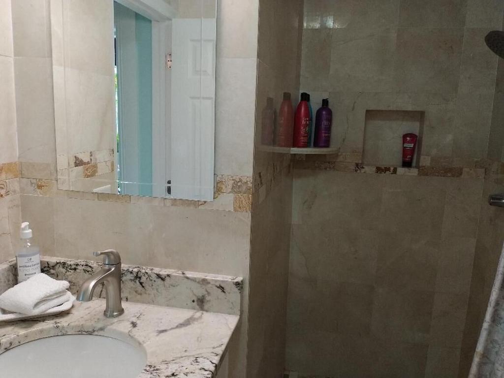 Tampa Bay Beautiful Apartment And Private Jacuzzi Екстер'єр фото